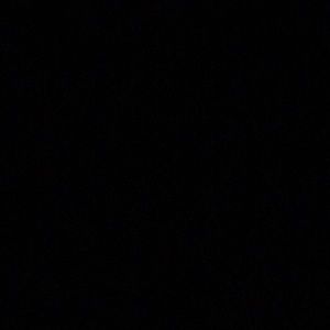 Meet your Posher, Daizy